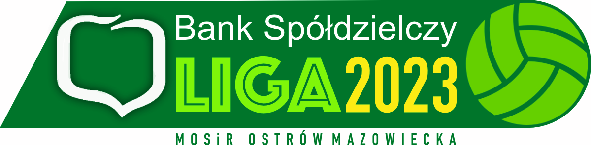 logo BSLSA 2023